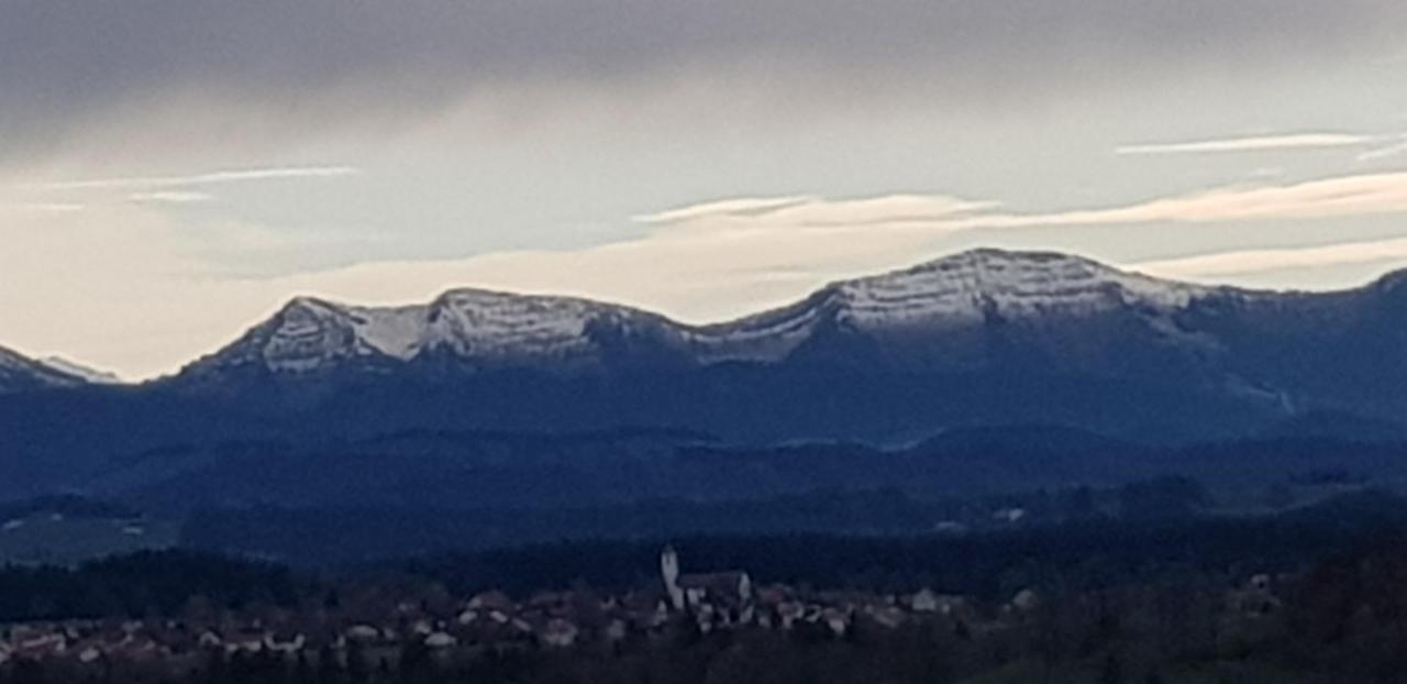 Alpenblick Leilighet Leutkirch im Allgäu Eksteriør bilde